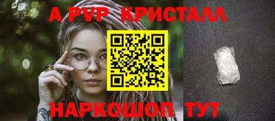 стаф Кунгур