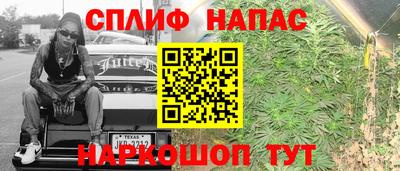 стаф Кунгур
