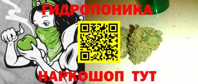стаф Кунгур