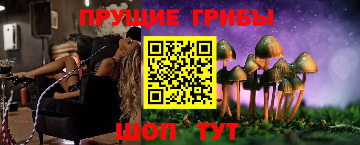 Галлюциногенные грибы GOLDEN TEACHER  Вход с VPN  Ишим  Галлюциногенные грибы Magic Shrooms 